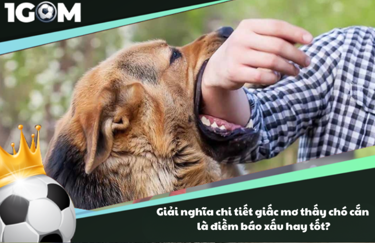 Giải nghĩa chi tiết giấc mơ thấy chó cắn là điềm báo xấu hay tốt?